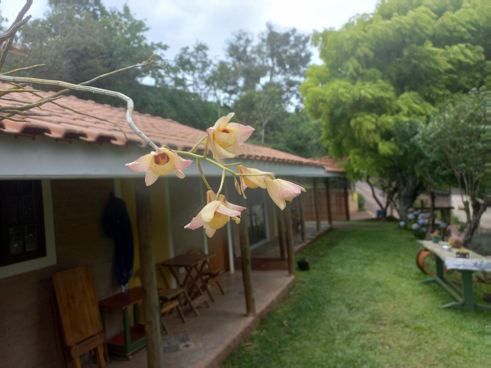 Do Alcantilado Lodge Santo Antônio do Pinhal